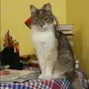 Отзыв от Пелагея Агапова
